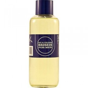 BRISEIS FOR MEN edt vaporizador 1000 ml