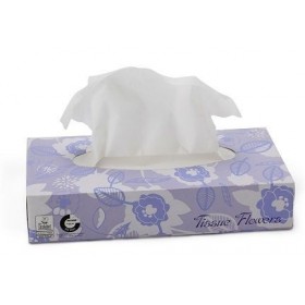 Tissues faciales   100 x 40 uds