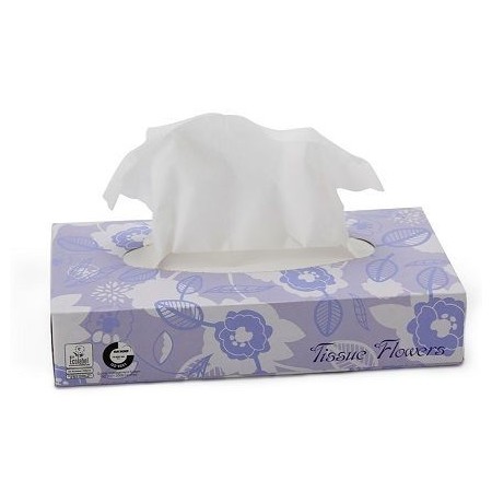 Tissues faciales   100 x 40 uds