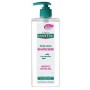 Gel hidroalcoholico SANYTOL higienizante 500ml
